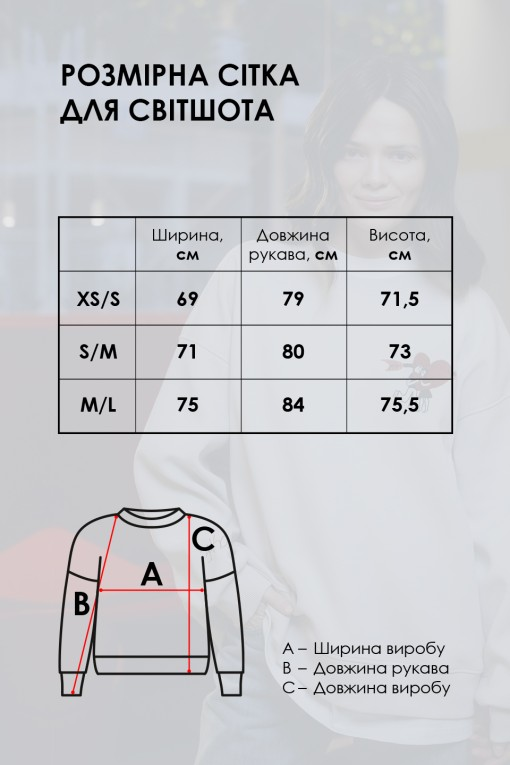 Світшот графітовий Радість, XS/S Світшот графітовий Радість, XS/S